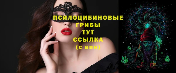 герыч Дубна