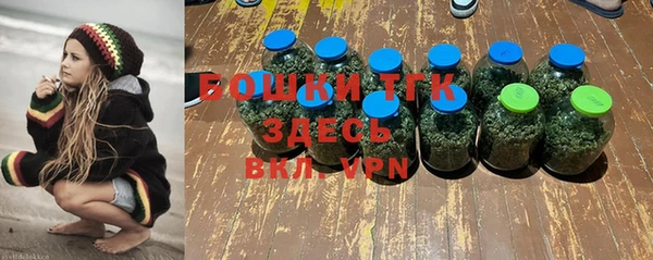 дживик Медногорск